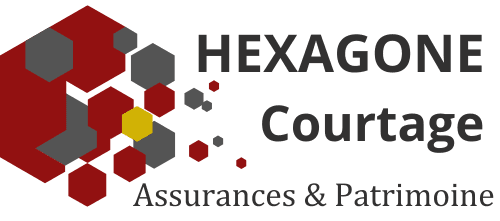 Logo Hexagone Courtage